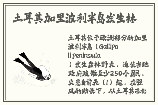 爱情岛论坛亚洲免费路线一